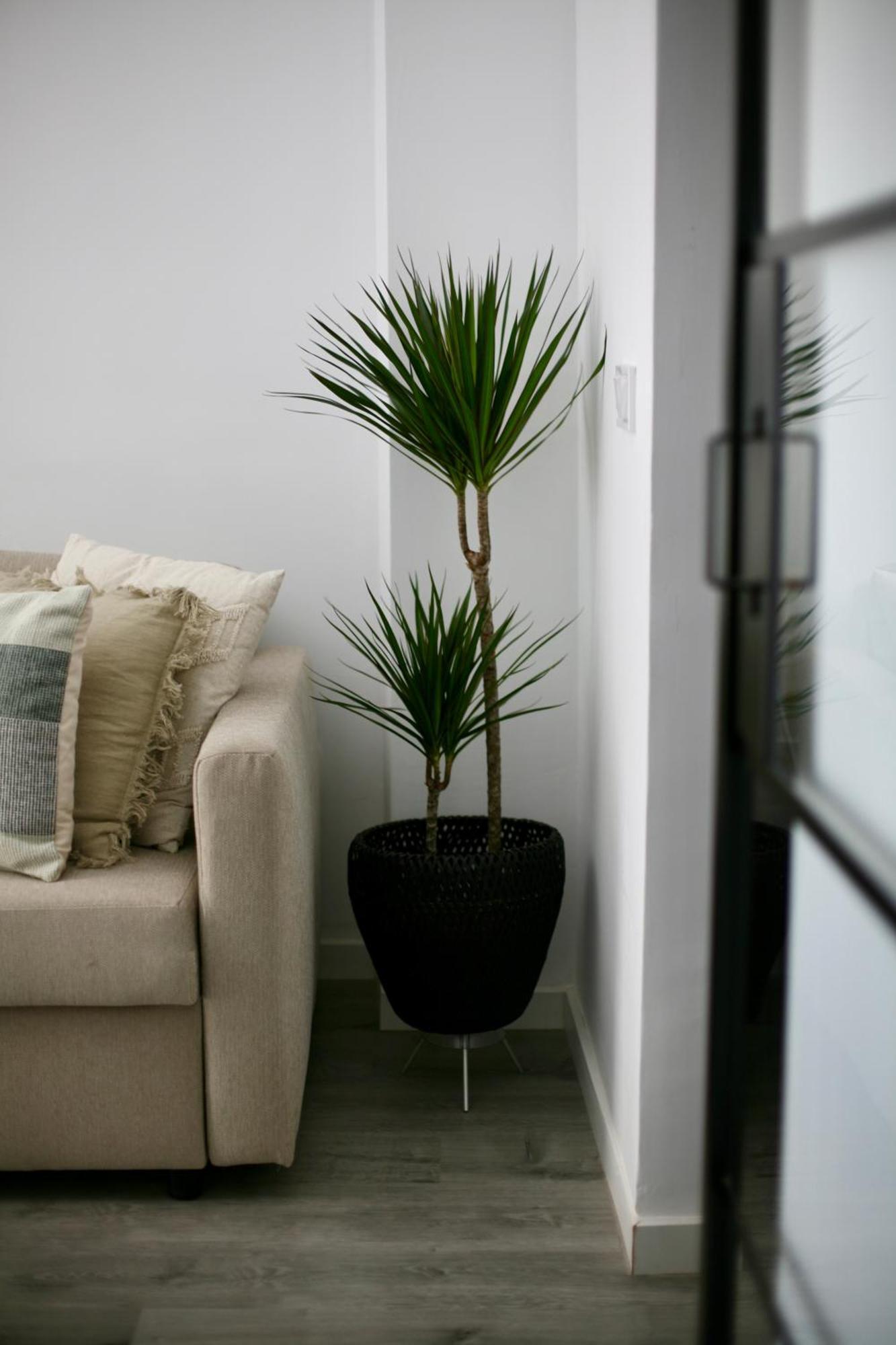 The Numid King Apartment Malaga Bagian luar foto